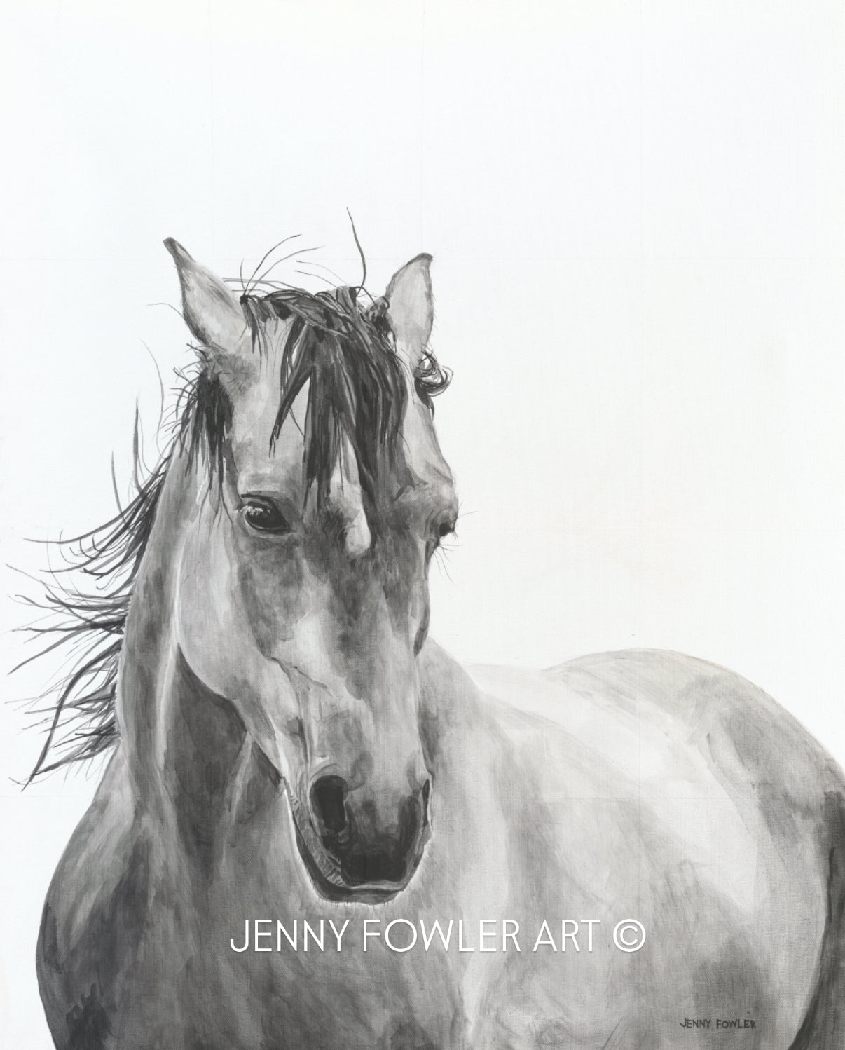 11x14” - Untamed Spirit print